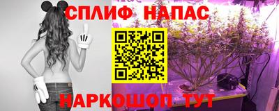 альфа пвп Волгодонск