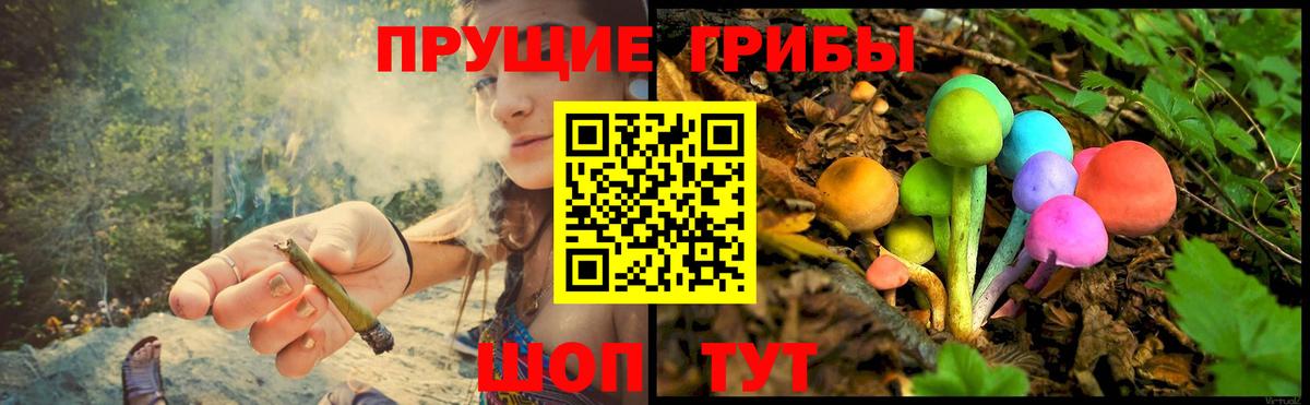 Галлюциногенные грибы Psilocybe  цены   Новотроицк  Вход с VPN 